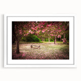 Framed wall art collection showcasing a vibrant landscape and garden design, featuring a white mat and sleek frame, ideal for home decor enhancement.