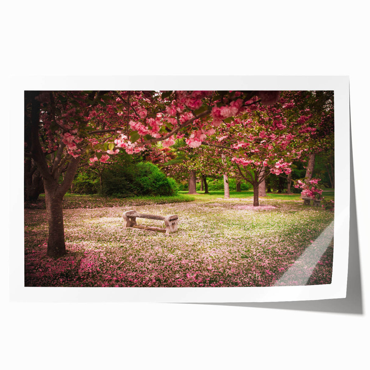Rolled print of a serene landscape garden design, showcasing lush greenery and vibrant flowers, perfect for home decor or wall art collections. Packaged securely in a protective tube for easy display.