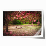 Rolled print of a serene landscape garden design, showcasing lush greenery and vibrant flowers, perfect for home decor or wall art collections. Packaged securely in a protective tube for easy display.