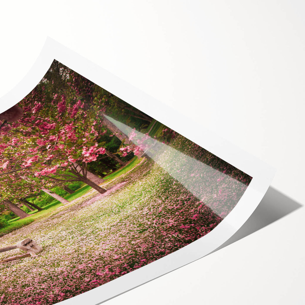 Vibrant rolled print of a landscape garden design featuring lush greenery and colorful flowers, ideal for home decor. Packaged in a protective cardboard tube.