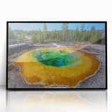 Framed acrylic wall art showcasing a vibrant geyser design, featuring bold colors and intricate details, perfect for enhancing modern home decor.