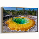 Framed canvas wall art showcasing a stunning geyser landscape design with vibrant gold accents, ideal for enhancing modern home decor in living spaces.