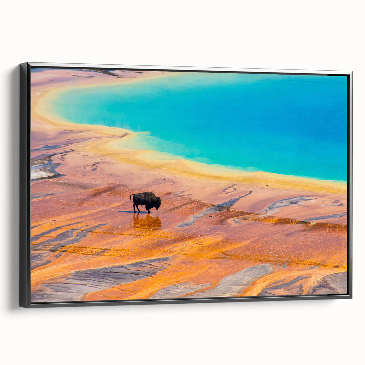 Framed canvas art showcasing a stunning geyser landscape design in vibrant colors, set against a sleek black frame, perfect for contemporary home decor.