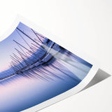 Rolled print showcasing a serene harbor landscape design, featuring vibrant blues and greens, ideal for enhancing home decor. Packaged securely in a cardboard tube for protection.