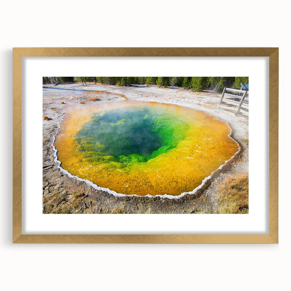 Elegant framed wall art depicting a serene hot spring landscape, featuring lush greenery and a calming water scene, accented by a gold mat for a sophisticated touch. Perfect for enhancing any living space with tranquility and nature-inspired aesthetics.