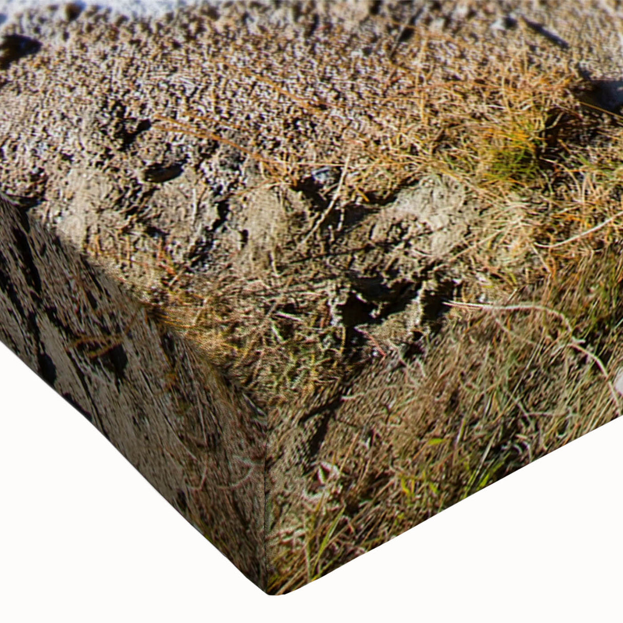 Close-up of a vibrant hot spring landscape canvas wall art piece, showcasing rich colors and intricate details, perfect for adding a serene touch to home decor.