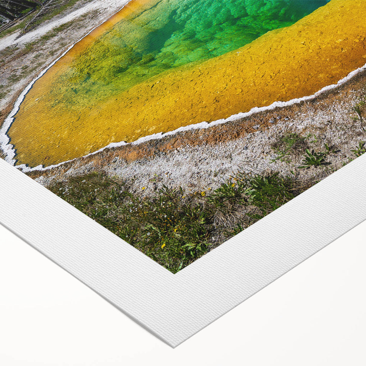 Vibrant rolled canvas artwork depicting a serene hot spring landscape, showcasing lush greenery and tranquil waters, perfect for home decor.