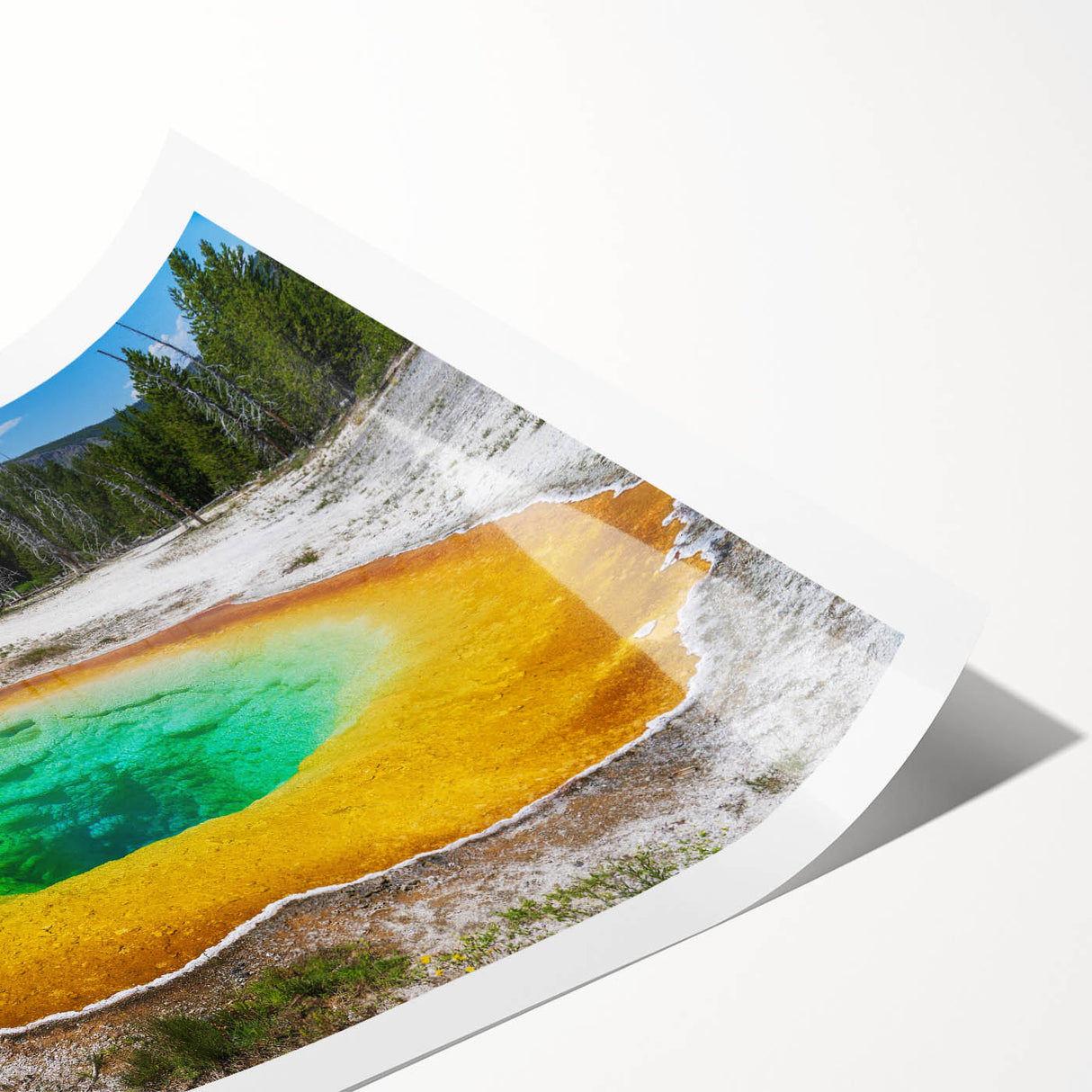 Rolled print showcasing a vibrant hot spring landscape design with rich colors and intricate details, perfect for home decor or art collection.