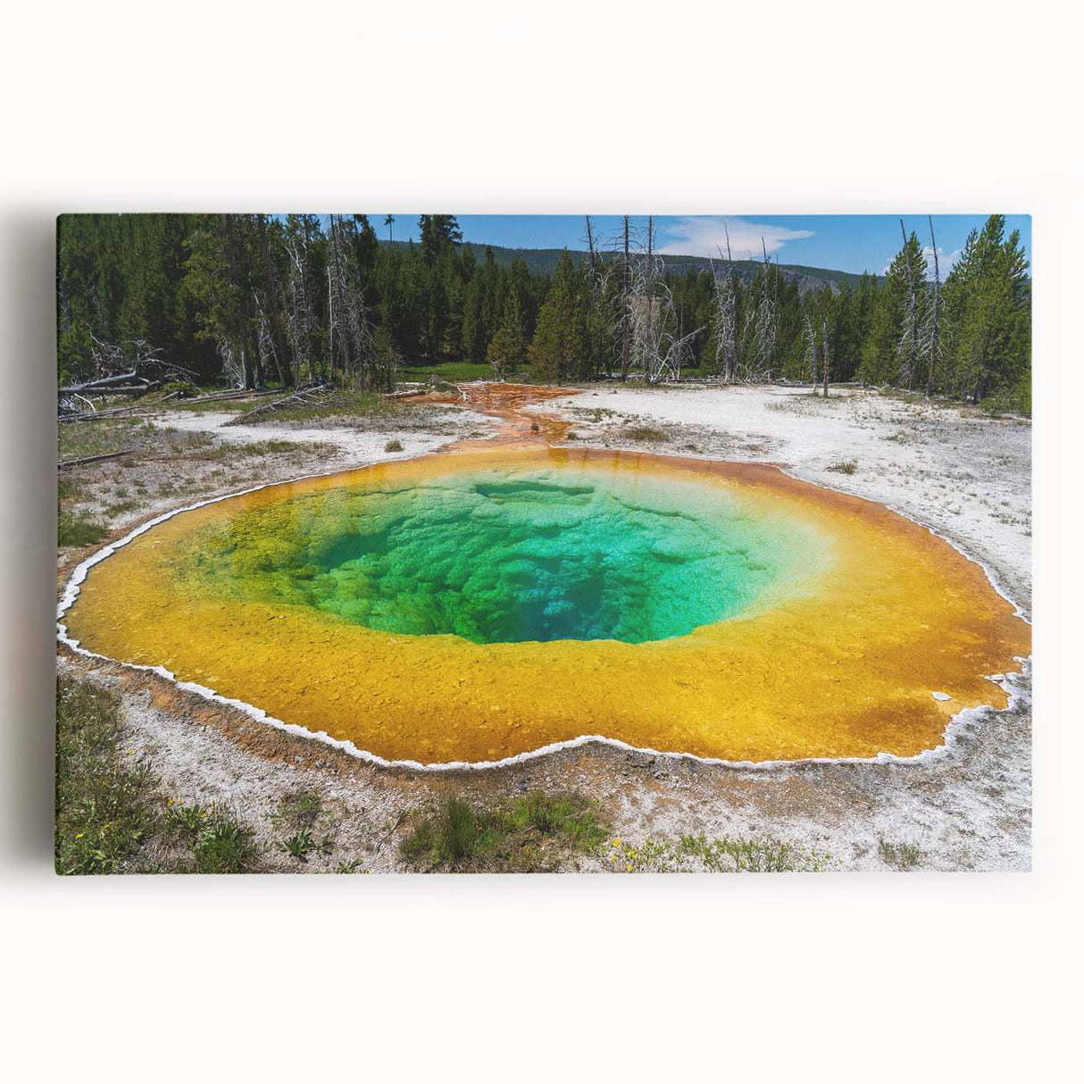 Stretched canvas wall art showcasing a vibrant hot spring landscape with lush greenery and soothing blue water, perfect for home decor and relaxation.