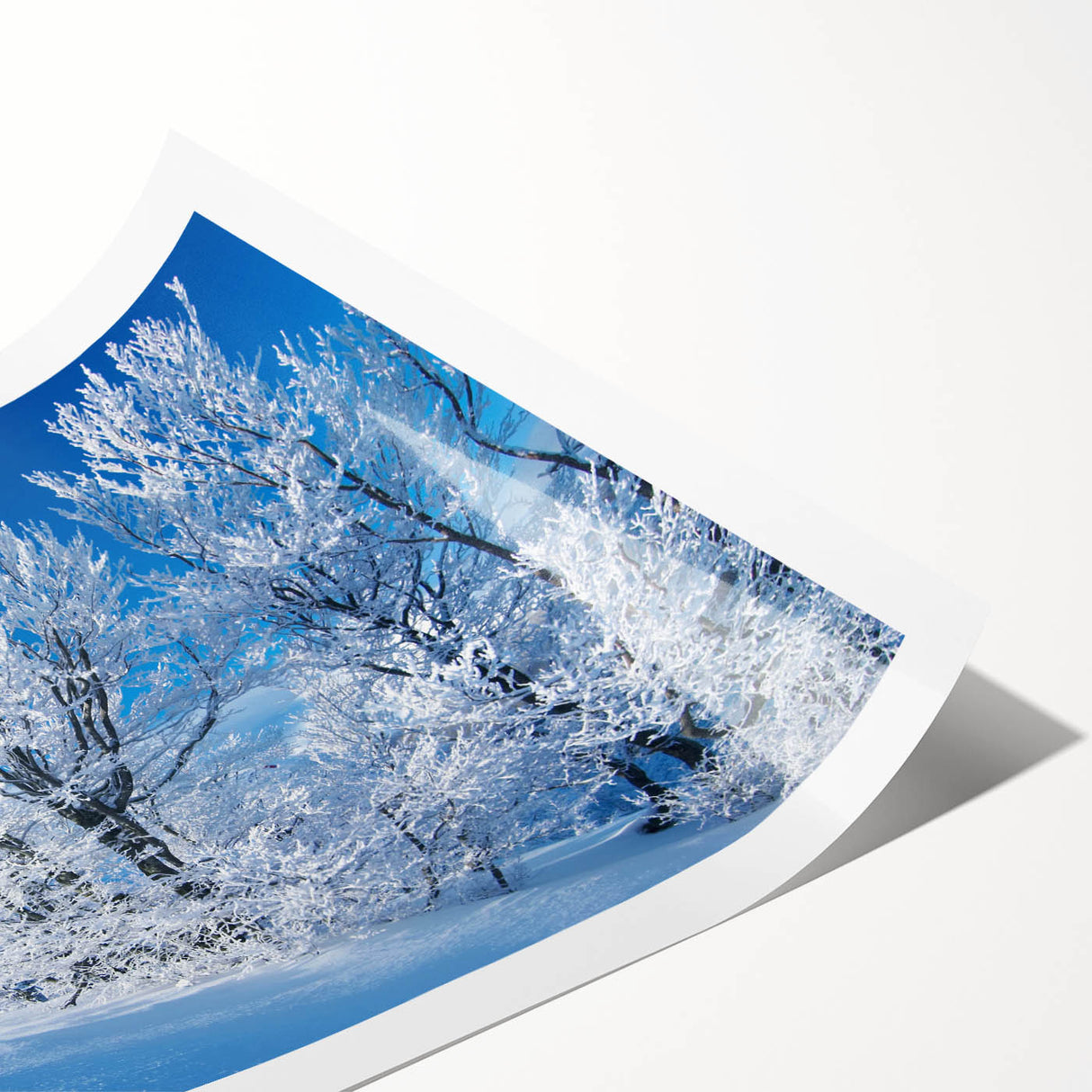 Vibrant rolled print of an abstract iceberg landscape design, showcasing cool blues and whites, ideal for modern home decor, packaged securely in a cardboard tube.