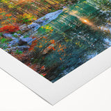 Rolled canvas showcasing a tranquil lake landscape design with vibrant colors and intricate details, perfect for home decor or art enthusiasts.