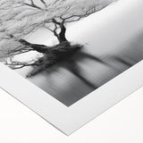 Rolled canvas artwork showcasing a serene lakeside landscape with lush greenery and vibrant blue water, ideal for home decor and nature-inspired interiors.