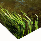 Close-up of a vibrant stretched canvas wall art piece depicting a serene lake landscape with lush greenery and a clear blue sky, ideal for home decor.