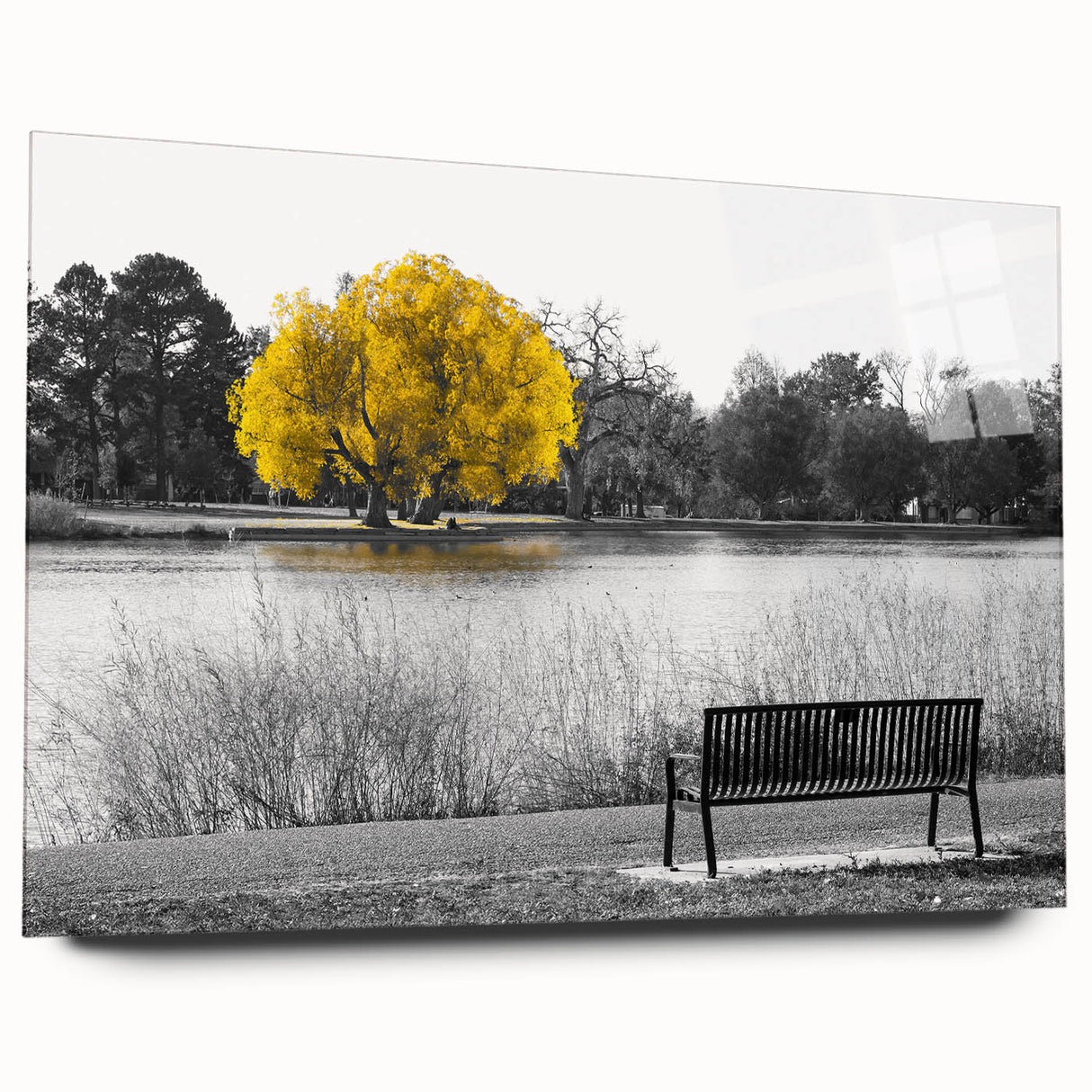 Acrylic glass wall art piece showcasing a serene landscape with a tranquil lake, vibrant greenery, and clear blue skies, designed to enhance modern home decor.