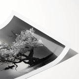 Rolled print of a serene landscape lake scene, showcasing vibrant blues and greens, perfect for home decor. Ideal for nature lovers seeking tranquility.