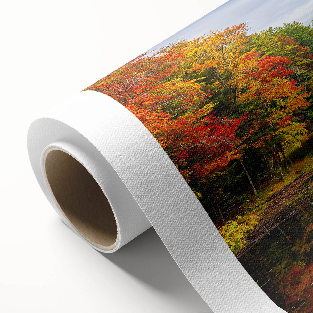 Rolled canvas showcasing a serene landscape lake design, featuring vibrant blues and greens, perfect for home decor. Packaged securely in a cardboard tube for easy transport.