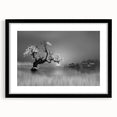 Framed wall art featuring a serene lake landscape with mountains in the background, presented in a black frame with a white mat, ideal for home decor.