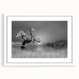 Framed wall art collection showcasing serene lake landscapes, featuring a white mat and modern frame, perfect for enhancing home decor with nature-inspired aesthetics.