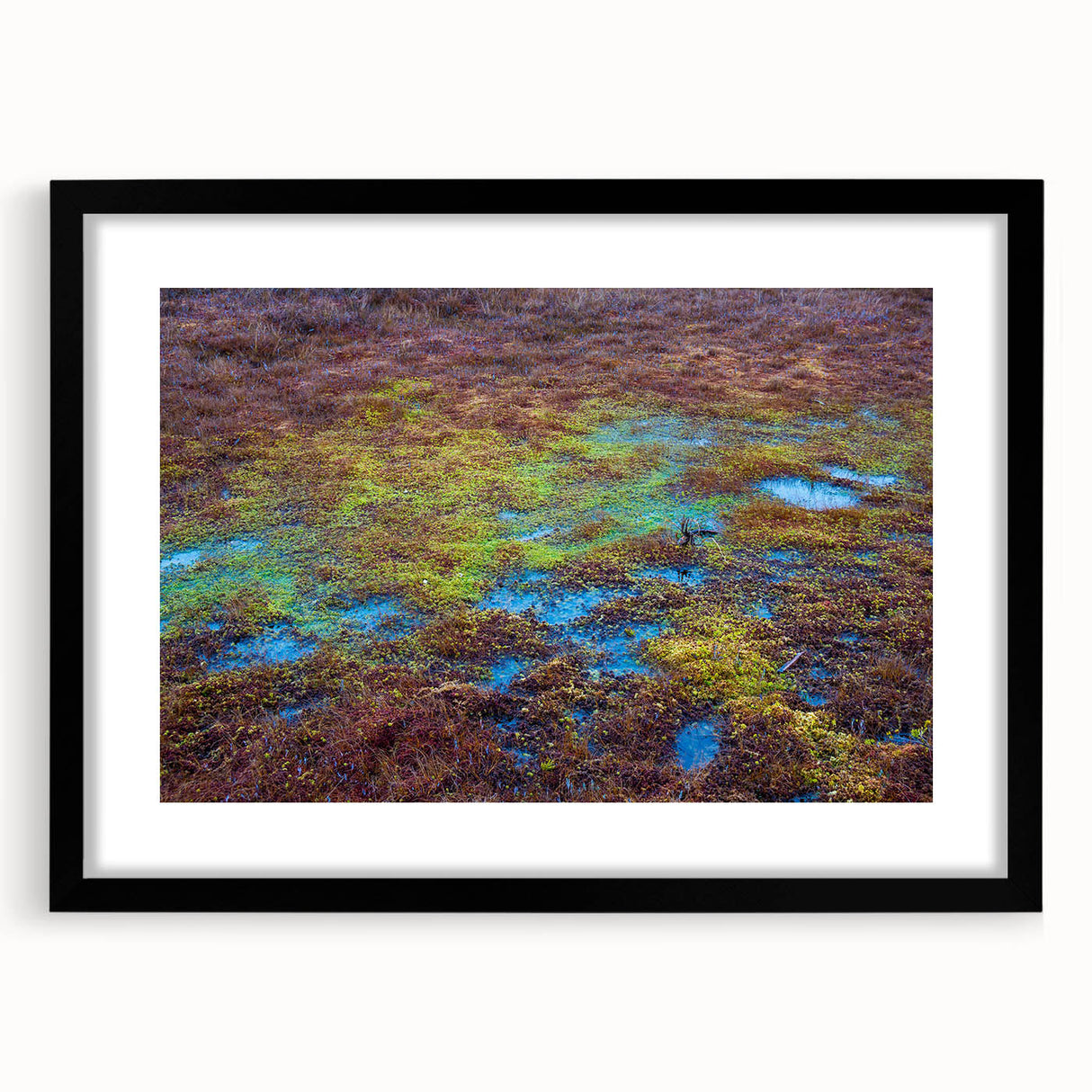 Framed wall art featuring a serene marsh landscape design with lush greenery and a tranquil water body, presented in a sleek black frame with matting. Perfect for nature lovers seeking to enhance home decor with soothing, natural imagery.