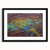 Framed wall art featuring a serene marsh landscape design with lush greenery and a tranquil water body, presented in a sleek black frame with matting. Perfect for nature lovers seeking to enhance home decor with soothing, natural imagery.