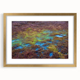 Framed wall art featuring a serene marsh landscape design with a gold mat, ideal for home decor. The artwork captures the beauty of nature, enhancing any room's ambiance.