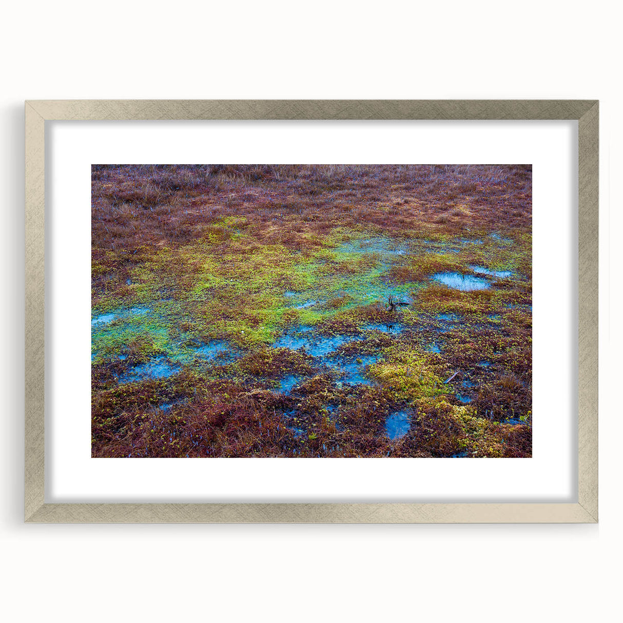 Framed wall art featuring a serene marsh landscape with vibrant greens and reflective water, elegantly displayed with a silver mat and frame, ideal for home decor.