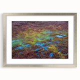 Framed wall art featuring a serene marsh landscape with vibrant greens and reflective water, elegantly displayed with a silver mat and frame, ideal for home decor.