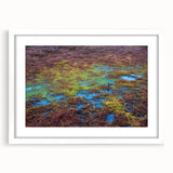 Framed wall art featuring a serene marsh landscape with lush greenery and reflective water, accented by a white mat for a modern look, perfect for home decor.