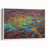 Framed canvas wall art depicting a serene marsh landscape with vibrant greenery and a tranquil swamp setting, showcasing natural beauty and calmness. The artwork features lush colors and intricate details, perfect for enhancing home decor with a touch of nature-inspired elegance.