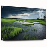 Acrylic glass wall art featuring a vibrant landscape of a marsh and swamp, showcasing lush greenery and serene water reflections, ideal for nature enthusiasts.