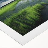Vibrant rolled canvas artwork depicting a serene marsh landscape, showcasing rich greens and blues with reflections in the water, perfect for nature lovers' home decor.