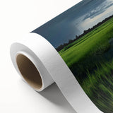 Colorful rolled canvas showcasing a serene marsh landscape with lush greenery and calm water reflections, designed for nature-inspired wall decor.