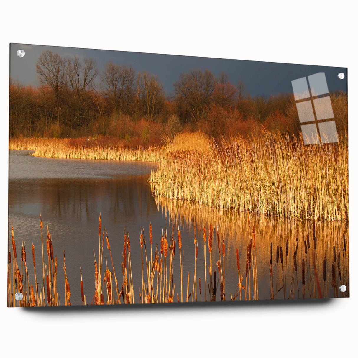Acrylic glass wall art featuring a serene landscape of a marshy swamp, showcasing vibrant greens and earthy tones, designed for modern home decor.