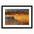 Framed wall art collection depicting serene marshland and swamp landscapes in a stylish black frame, enhancing any nature-inspired decor.