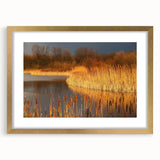 Framed wall art showcasing a serene marsh landscape with lush greenery and tranquil water, featuring a gold frame and matting, perfect for home decor.