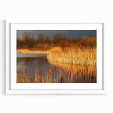 Framed wall art collection showcasing a serene marsh landscape with lush greenery and soft, muted colors, enhanced by a white mat for an elegant finish.