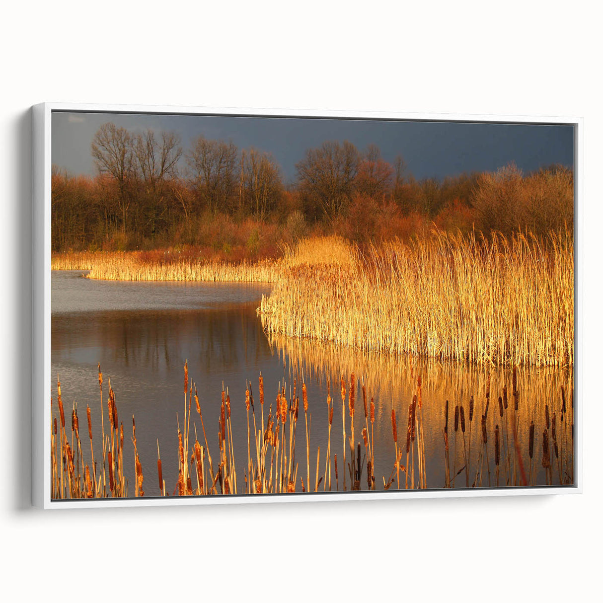 Framed canvas wall art showcasing a serene marsh landscape with lush greenery and reflections in water, ideal for nature-themed decor in living spaces.