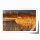 Vibrant landscape design showcasing a serene marsh and swamp scene, perfect for home decor, printed on high-quality, rolled canvas for easy framing.