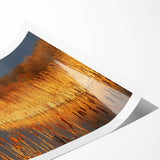 Vibrant rolled print of a serene marsh landscape featuring lush greenery and reflective water, ideal for nature-themed wall art décor. Perfect for enhancing living spaces with a touch of tranquility.