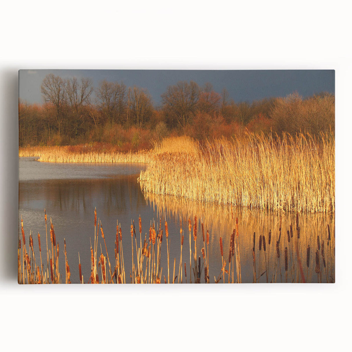 Serene landscape wall art showcasing a vibrant swamp scene with lush greenery and reflective water, printed on stretched canvas for a stunning home decor accent.