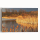 Serene landscape wall art showcasing a vibrant swamp scene with lush greenery and reflective water, printed on stretched canvas for a stunning home decor accent.