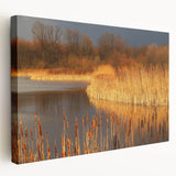 Stretched canvas wall art showcasing a serene marsh landscape with lush greenery and reflective water, perfect for enhancing any nature-themed decor.