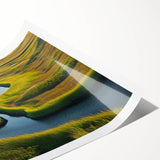 Vibrant rolled print showcasing a serene swamp landscape with lush greenery and reflective water, perfect for enhancing home decor with nature-inspired art.
