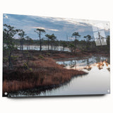 Acrylic glass wall art showcasing a vibrant marsh and swamp landscape design, featuring lush greenery and serene water reflections, ideal for nature-themed decor.
