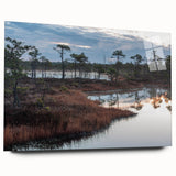 Acrylic glass wall art collection showcasing a serene marsh and swamp landscape, featuring vibrant greens and natural elements, ideal for nature-inspired decor.