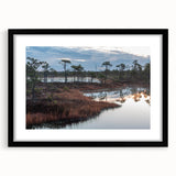 Black-framed wall art collection showcasing vibrant landscapes of marshes and swamps, featuring a contemporary design with a white mat, ideal for modern decor.