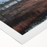 Rolled canvas artwork showcasing a serene landscape of a marsh and swamp, featuring lush greenery and tranquil water reflections, ideal for nature-themed decor.