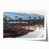 Vibrant wall art print showcasing a serene marsh landscape with lush greenery and reflective water, perfect for enhancing home decor with a nature-inspired theme. This rolled print captures the tranquility of a swamp setting, ideal for art enthusiasts and nature lovers alike.