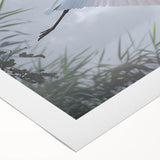 Vibrant rolled canvas showcasing a serene marsh landscape with lush greenery and reflections on water, ideal for nature-themed home decor.