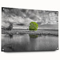 Colorful acrylic glass wall art showcasing a serene marsh landscape with vibrant greens and blues, mounted on a side view with decorative pins for display. Ideal for nature-themed home decor.